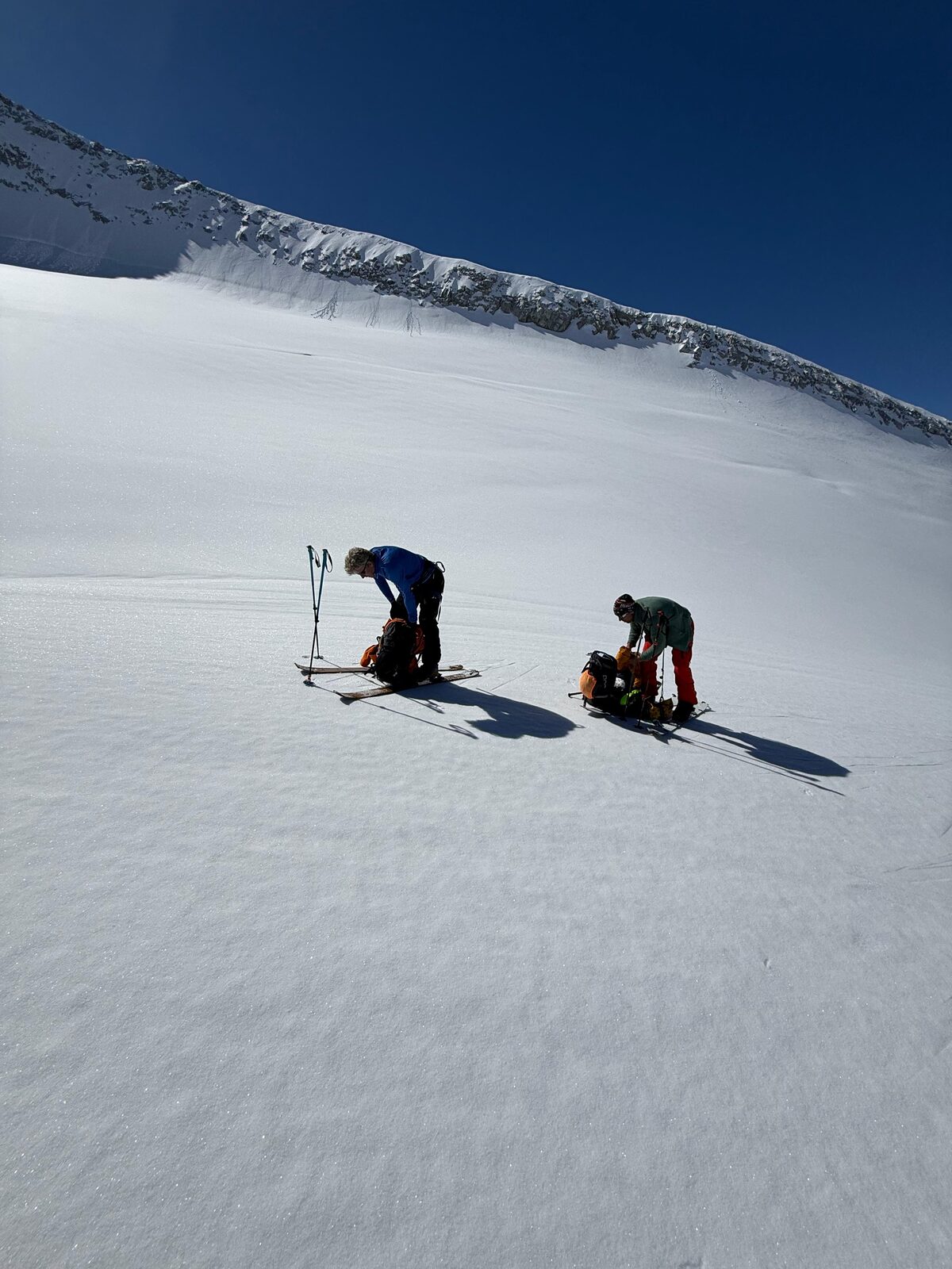 Adamello Freeride