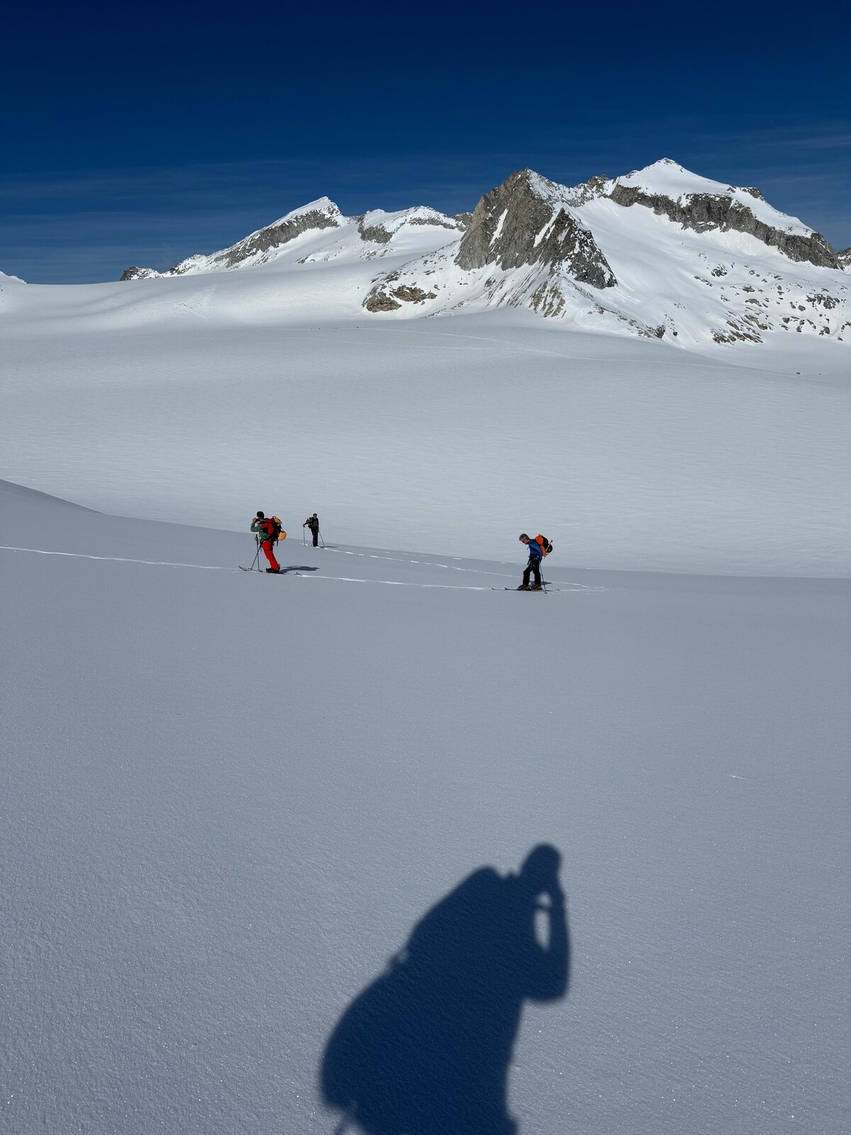 Adamello Freeride